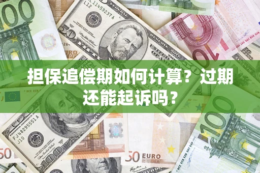 武汉担保追偿期如何计算？过期还能起诉吗？
